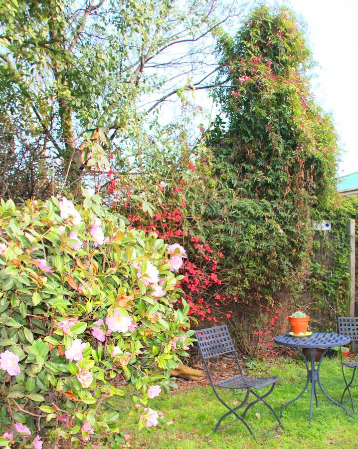 Bush Inn Court Motel Christchurch Bagian luar foto