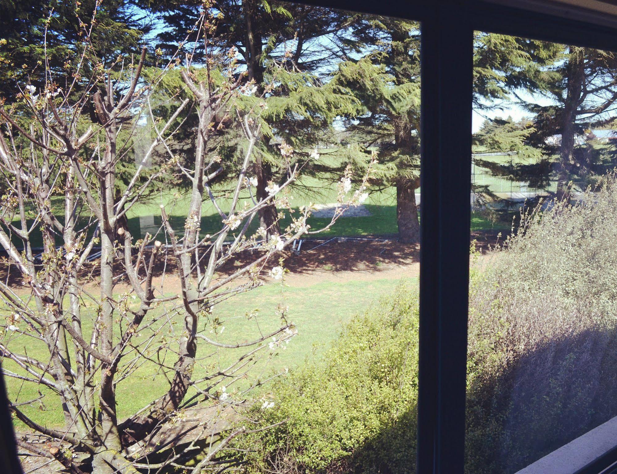 Bush Inn Court Motel Christchurch Bagian luar foto